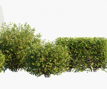 Modern Shrubbery-ID:599771025