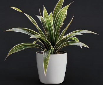 Modern Potted Green Plant-ID:844284065