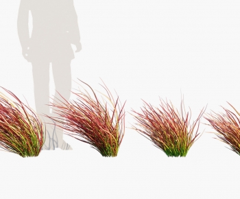 Modern The Grass-ID:308339123