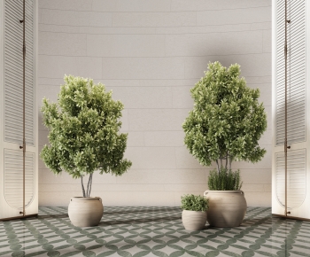 Modern Ground Green Plant Potted Plants-ID:762376078