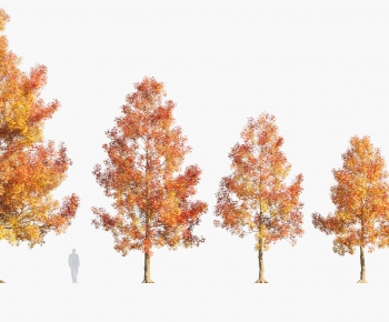 Modern Tree-ID:609457029