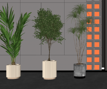 现代落地绿植盆栽组合-ID:592490918