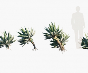 Modern Plant-ID:764652014