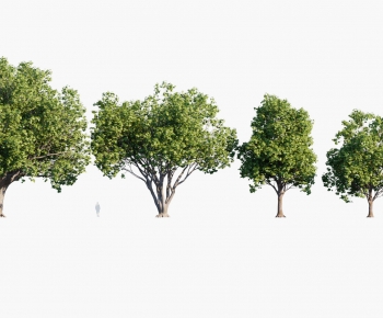 Modern Tree-ID:779849058