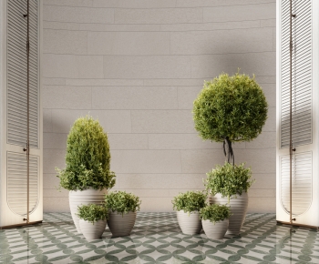 Modern Ground Green Plant Potted Plants-ID:843873022