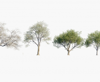 Modern Tree-ID:487850906