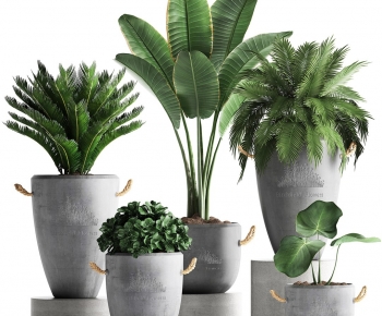 Modern Ground Green Plant Potted Plants-ID:920742999