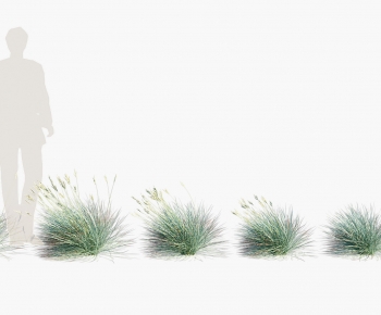 Modern The Grass-ID:586186891