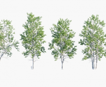 Modern Tree-ID:902925013