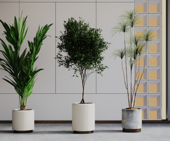 Modern Ground Green Plant Potted Plants-ID:507857087