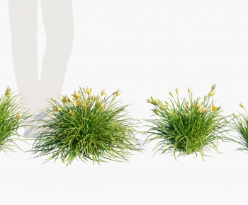 Modern Tree/shrub/grass-ID:552737008