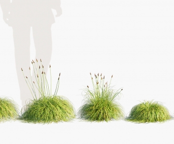 Modern Shrubbery-ID:468609364