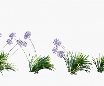 Modern Plant-ID:851599932