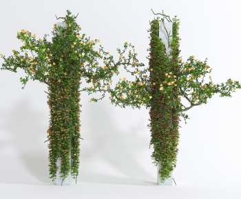 Modern Plant-ID:999587068