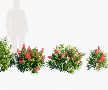 Modern Shrubbery-ID:332215073