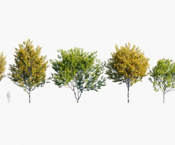 Modern Tree-ID:466468107