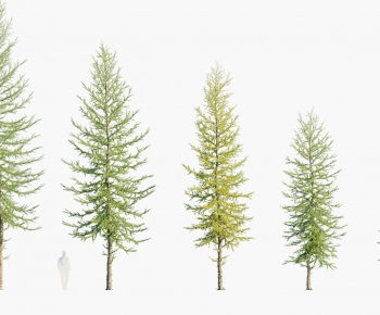 Modern Tree-ID:129288914