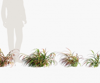 Modern Plant-ID:139187106