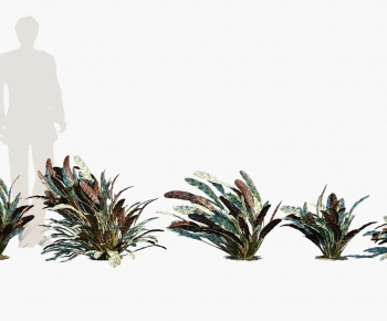 Modern Plant-ID:358381998