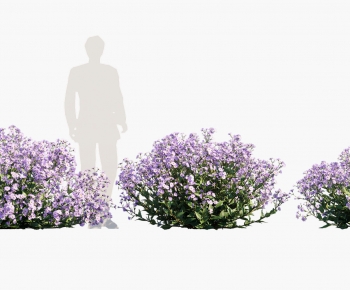 Modern Shrubbery-ID:520447978