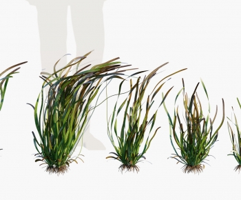 Modern Aquatic Green Plant-ID:534370909