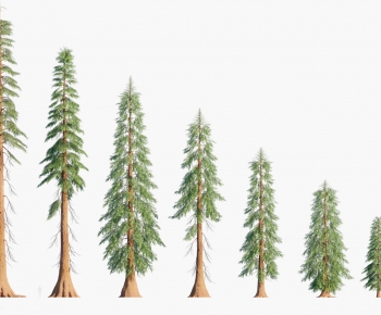 Modern Tree-ID:856091028