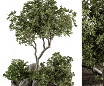 Modern Tree-ID:352746013