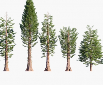 Modern Tree-ID:392885921