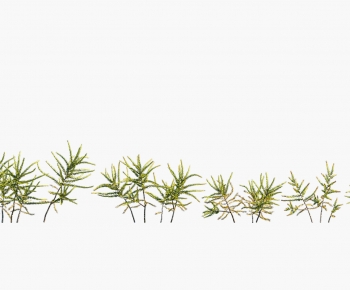 Modern The Grass-ID:902753114