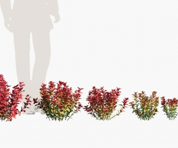 Modern The Grass-ID:844202049