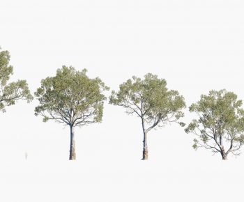 Modern Tree-ID:666445024