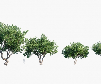 Modern Tree-ID:414247041