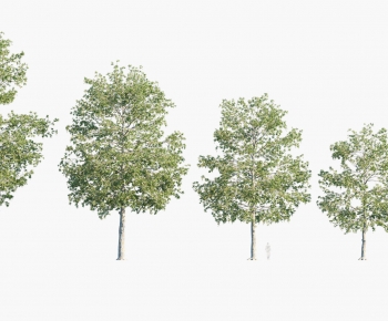 Modern Tree-ID:860291009