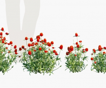 Modern Plant-ID:283291109