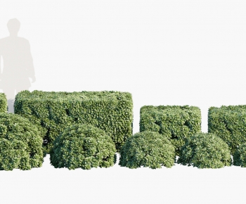 现代观赏植物绿篱组合-ID:923845058