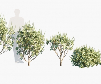 Modern Tree-ID:456688888