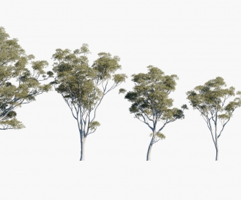 Modern Tree-ID:714615115