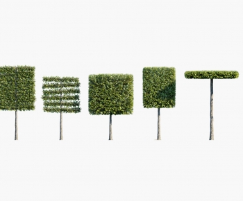 Modern Tree-ID:190649993