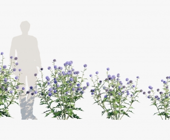 Modern Plant-ID:249723918