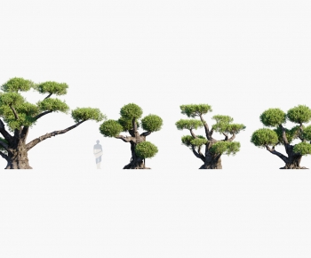 Modern Tree-ID:182394981