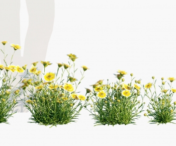 Modern Plant-ID:243757966