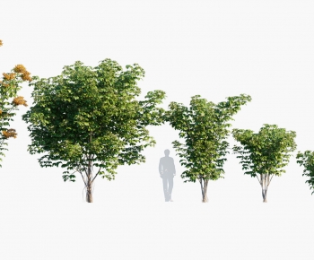 Modern Tree-ID:823810128