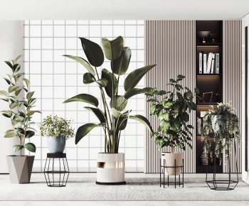 Modern Potted Green Plant-ID:642728095