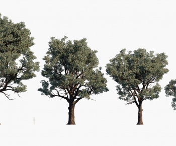 Modern Tree-ID:364370318