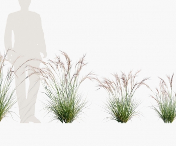 Modern Plant-ID:586983923