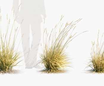 Modern Plant-ID:384139067