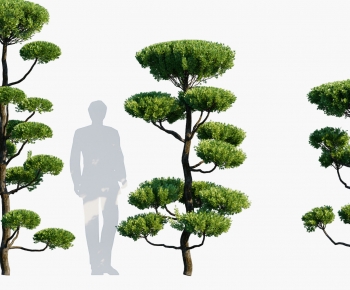 Modern Tree-ID:861671019