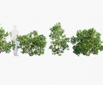 Modern Shrubbery-ID:199740891