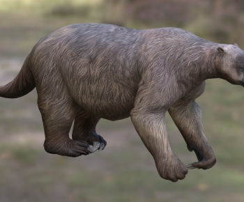 Modern Mammal-ID:241645106