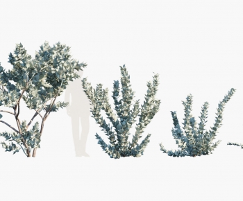 Modern Tree-ID:224778897